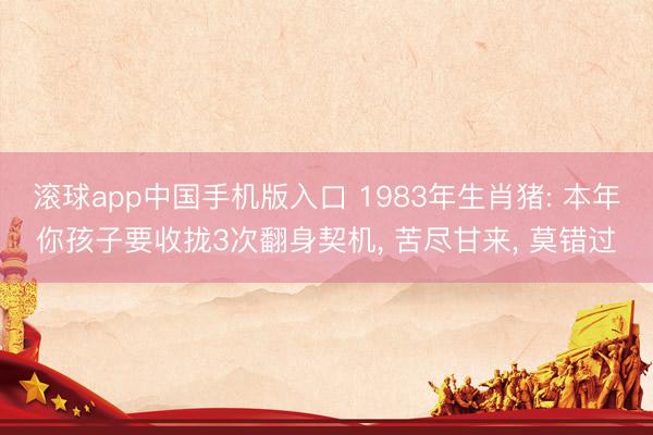 滚球app中国手机版入口 1983年生肖猪: 本年你孩子要收拢3次翻身契机， 苦尽甘来， 莫错过