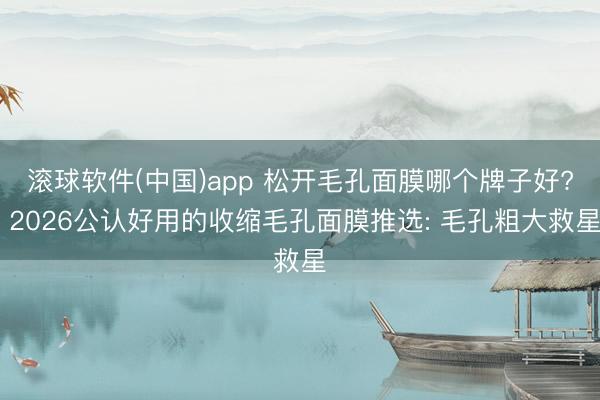 滚球软件(中国)app 松开毛孔面膜哪个牌子好? 2026公认好用的收缩毛孔面膜推选: 毛孔粗大救星