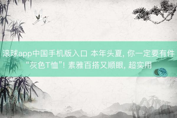 滚球app中国手机版入口 本年头夏, 你一定要有件“灰色T恤”! 素雅百搭又顺眼, 超实用