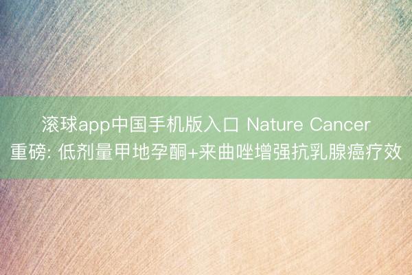 滚球app中国手机版入口 Nature Cancer重磅: 低剂量甲地孕酮+来曲唑增强抗乳腺癌疗效