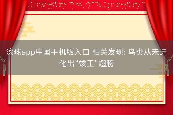 滚球app中国手机版入口 相关发现: 鸟类从未进化出“竣工”翅膀
