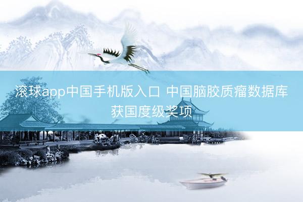 滚球app中国手机版入口 中国脑胶质瘤数据库获国度级奖项