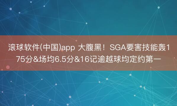 滚球软件(中国)app 大腹黑!SGA要害技能轰175分&场均6.5分&16记逾越球均定约第一