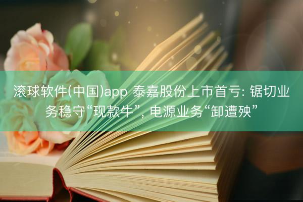 滚球软件(中国)app 泰嘉股份上市首亏: 锯切业务稳守“现款牛”， 电源业务“卸遭殃”