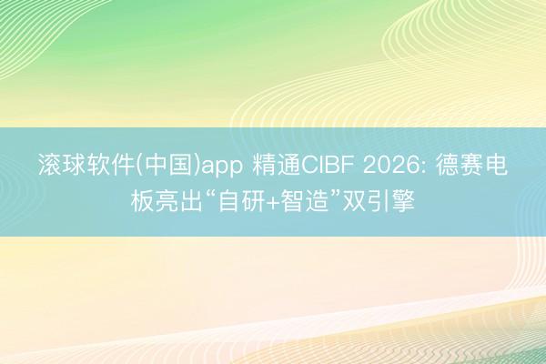 滚球软件(中国)app 精通CIBF 2026: 德赛电板亮出“自研+智造”双引擎