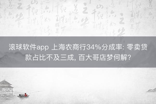 滚球软件app 上海农商行34%分成率: 零卖贷款占比不及三成， 百大哥店梦何解?