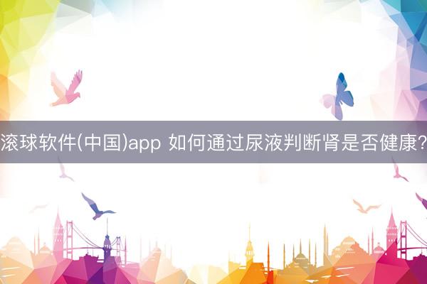 滚球软件(中国)app 如何通过尿液判断肾是否健康？