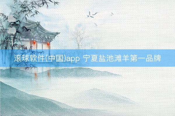 滚球软件(中国)app 宁夏盐池滩羊第一品牌