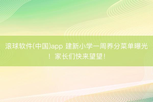 滚球软件(中国)app 建新小学一周养分菜单曝光！家长们快来望望！