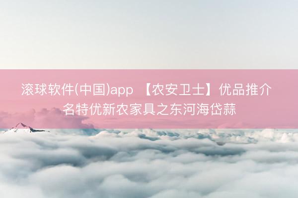 滚球软件(中国)app 【农安卫士】优品推介 名特优新农家具之东河海岱蒜
