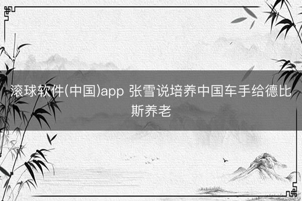 滚球软件(中国)app 张雪说培养中国车手给德比斯养老