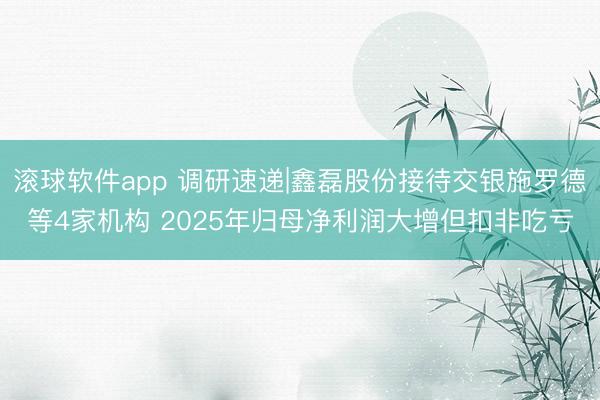 滚球软件app 调研速递|鑫磊股份接待交银施罗德等4家机构 2025年归母净利润大增但扣非吃亏