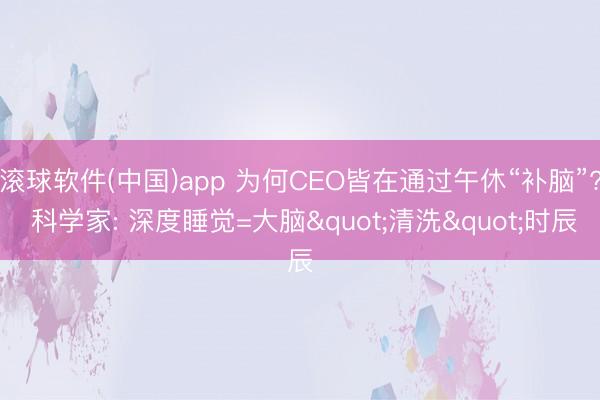 滚球软件(中国)app 为何CEO皆在通过午休“补脑”? 科学家: 深度睡觉=大脑"清洗"时辰