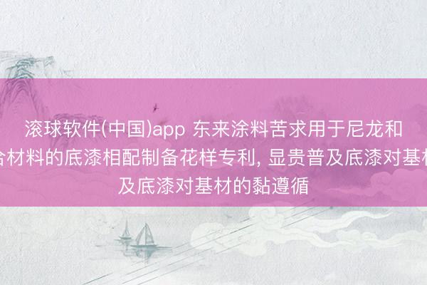 滚球软件(中国)app 东来涂料苦求用于尼龙和聚苯醚复合材料的底漆相配制备花样专利, 显贵普及底漆对基材的黏遵循