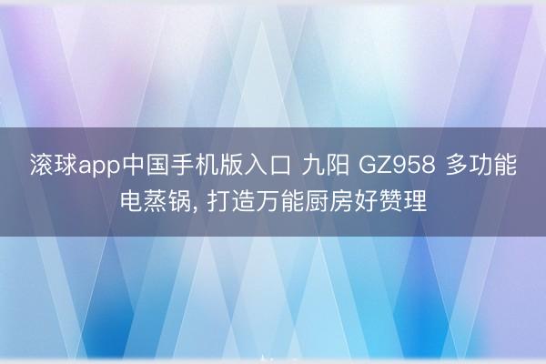 滚球app中国手机版入口 九阳 GZ958 多功能电蒸锅， 打造万能厨房好赞理