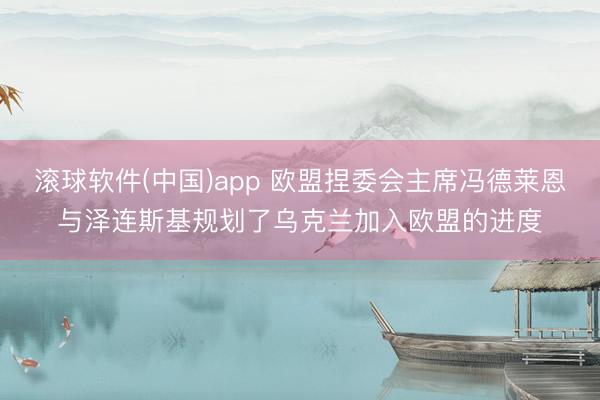 滚球软件(中国)app 欧盟捏委会主席冯德莱恩与泽连斯基规划了乌克兰加入欧盟的进度