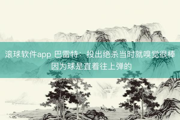 滚球软件app 巴雷特：投出绝杀当时就嗅觉很棒 因为球是直着往上弹的