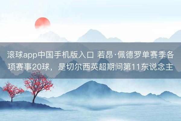 滚球app中国手机版入口 若昂·佩德罗单赛季各项赛事20球,是切尔西英超期间第11东说念主