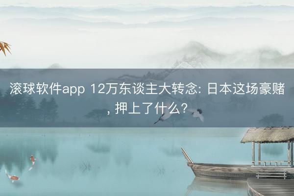 滚球软件app 12万东谈主大转念: 日本这场豪赌, 押上了什么?