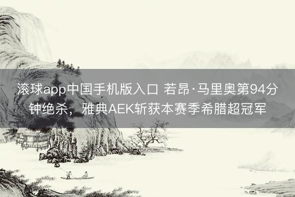 滚球app中国手机版入口 若昂·马里奥第94分钟绝杀，雅典AEK斩获本赛季希腊超冠军