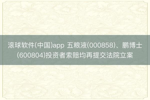 滚球软件(中国)app 五粮液(000858)、鹏博士(600804)投资者索赔均再提交法院立案