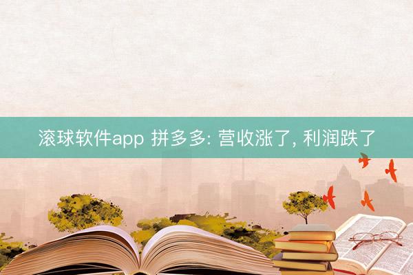 滚球软件app 拼多多: 营收涨了, 利润跌了